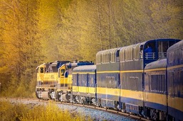 Denali Star Train - Fall Colors