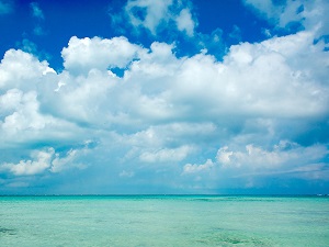 Caribbean Water View
