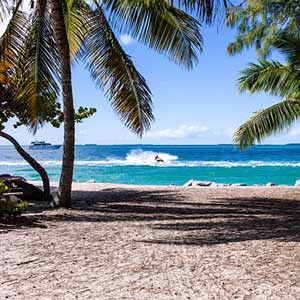 Caribbean beach view.